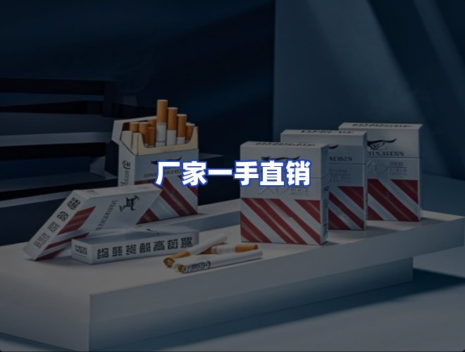 专业团队
